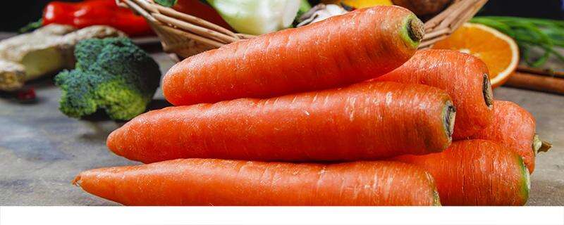 胡萝卜和红萝卜的区别 红萝卜和胡萝卜哪个好