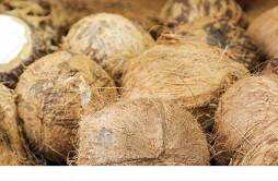 吃不完的椰肉怎么保存 剥好的椰肉可以保存多久