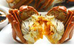 番茄和螃蟹能同食吗 螃蟹相克的食物