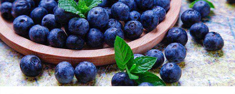 蓝莓用什么洗才干净 如何辨别好的蓝莓