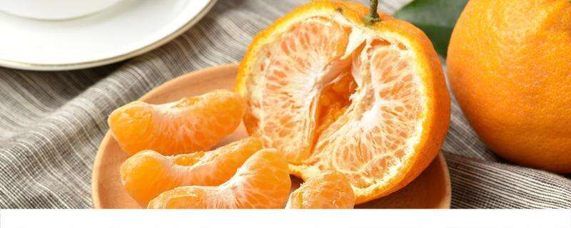 孕妇早上空腹可以吃橘子吗 什么时候吃橘子最好