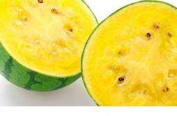黄肉的西瓜叫什么瓜 黄心西瓜是不是转基因的