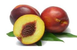 油桃的营养价值 油桃的营养价值及功效与作用禁忌