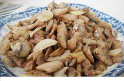 蘑菇炒肉 蘑菇炒肉丝的家常做法