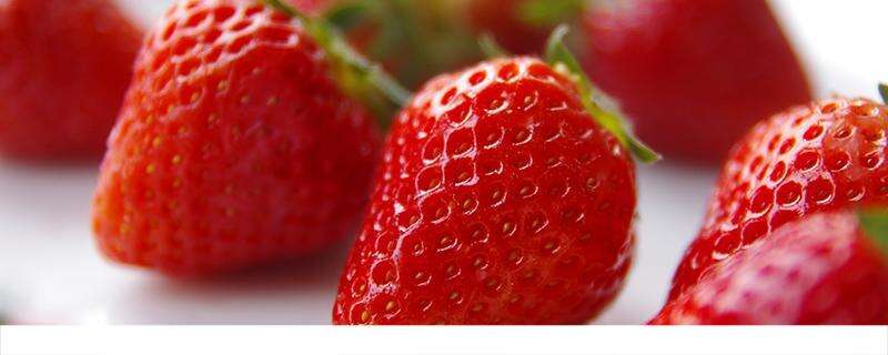 草莓吃多了会怎么样 草莓吃多了会胖吗