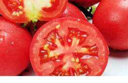 西红柿皮能吃吗 西红柿皮对身体有害吗