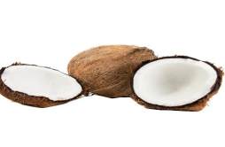 椰子吃多了会不会拉肚子 椰子吃多拉肚子怎么办