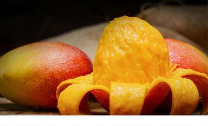 芒果硬的可以吃吗 芒果硬的好还是软的好