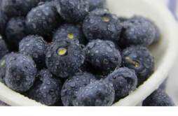 蓝莓怎么吃要剥皮吗 蓝莓表面的白霜是什么