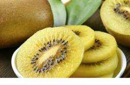 奇异果金色和绿色的区别 奇异果和猕猴桃是同一种水果吗