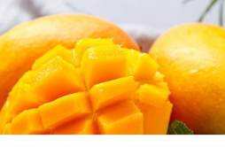 芒果适合糖尿病人吃吗 芒果吃多会怎么样