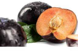 黑布林吃起来为什么会是酸的 黑布林和桃子能一起吃吗