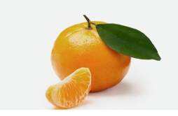 冬天吃橘子有什么好处 吃橘子要注意什么