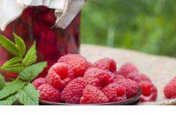 覆盆子和蔓越莓是同一种水果吗 覆盆子和蔓越莓的区别
