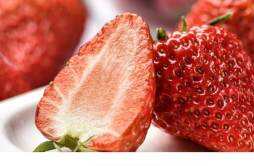 草莓是凉性的还是热性的 吃草莓后胃不舒服是怎么回事