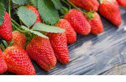 草莓的功效与营养 常吃草莓的好处和坏处