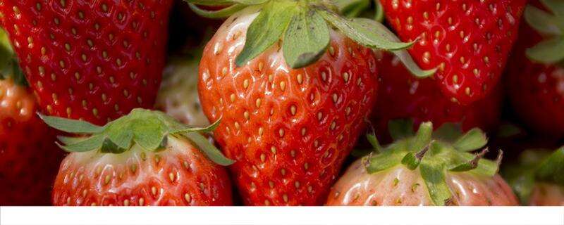 草莓放冰箱还是常温保存 草莓不放冰箱可以过夜吗