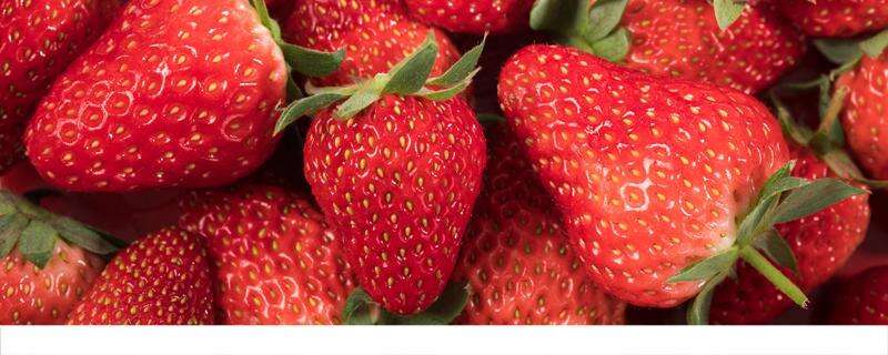 草莓吃多了会不会上火 草莓吃多了容易胖吗