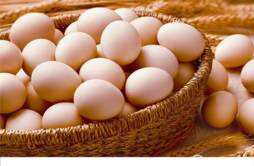 黄瓜鸡蛋减肥需要注意哪些 鸡蛋黄瓜能减肥吗