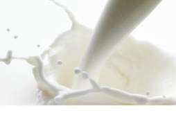 牛奶和酸奶哪个营养价值高