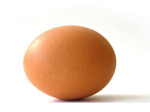 每天只吃鸡蛋能减肥吗
