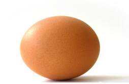 每天只吃鸡蛋能减肥吗 减肥可以每天只吃鸡蛋吗