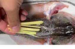 鲈鱼的功效与作用禁忌 鲈鱼的功效与营养价值及禁忌