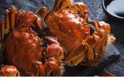 减肥期间可以吃螃蟹吗 减肥期能吃螃蟹吗