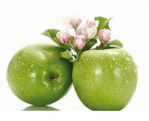 苹果酸奶减肥法月瘦15斤怎么做