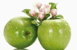 什么是苹果酸奶减肥法 酸奶苹果减肥法有效吗