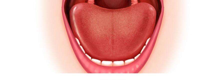 湿气重的舌头和正常舌头的区别