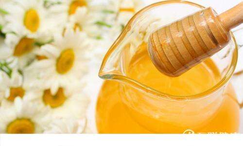 蜂蜜水减肥方法