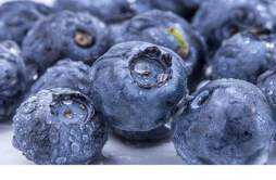 吃蓝莓大便是黑色的正常吗