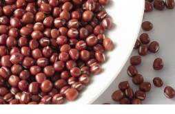 红豆怎么吃适合减肥