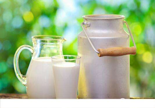 牛奶提高免疫力