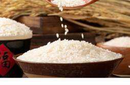 绿竹米是什么米怎么吃 绿竹米是用什么做的