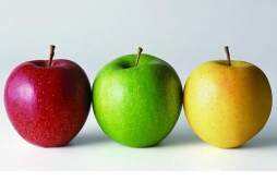 如何维持苹果三日减肥法的减肥效果 三日苹果减肥法成功案例