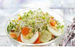 黄瓜鸡蛋减肥一周食谱