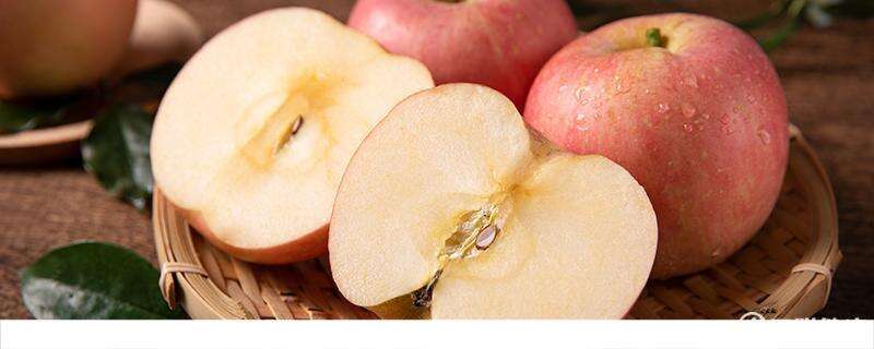 苹果煮水可以减肥吗