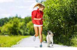 早上空腹跑步能减肥吗 每天早上空腹跑步能减肥吗