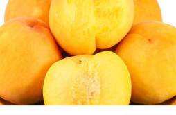 黄桃的功效作用 黄桃的功效作用吃法