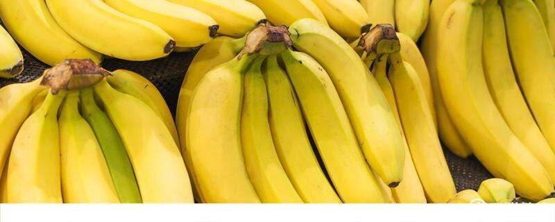 香蕉减肥的正确吃法
