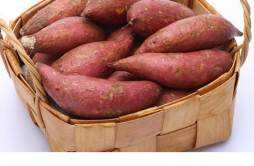 红薯玉米减肥吗 红薯玉米减肥吗热量高吗