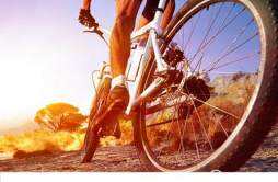 骑自行车和跑步哪个减肥效果好 骑自行车减肥还是跑步减肥效果好