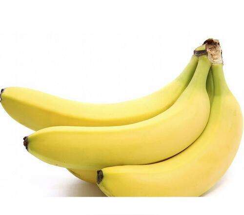 香蕉酸奶减肥法效果怎么样