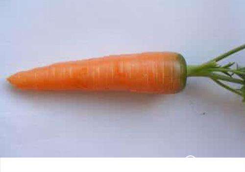 吃胡萝卜减肥能长期吃吗