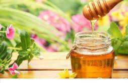 什么人不适合喝蜂蜜水减肥 减肥的人可以喝蜂蜜水吗