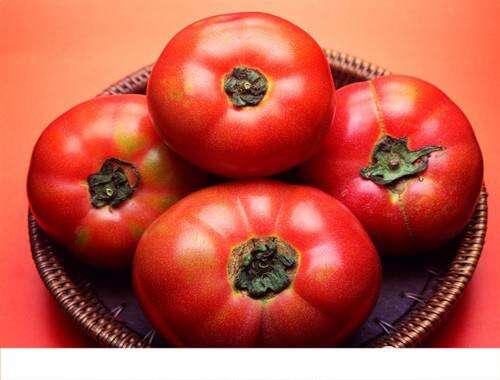 饭前西红柿有利减肥