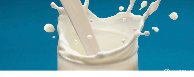 喝脱脂牛奶并不能减肥