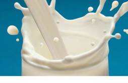 喝脱脂牛奶并不能减肥 减肥该不该喝脱脂牛奶